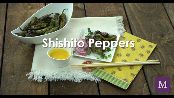 Shisito Peppers