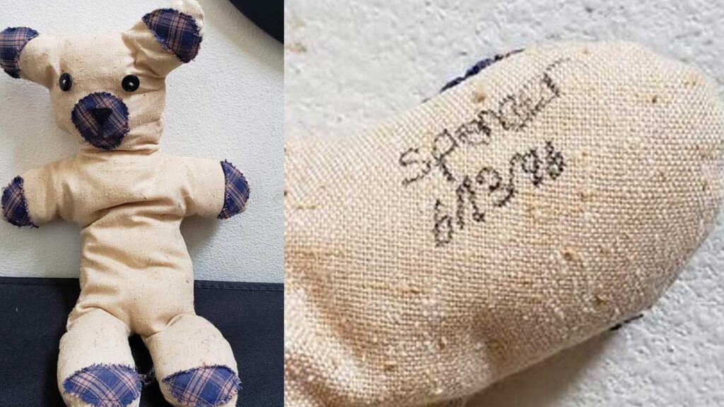 marks spencer teddy bear
