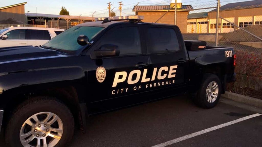 Ferndale police officer charged with attempted child molestation Malcontent News