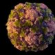 A color enhanced electron microscope picture of the poliovirus on a black background