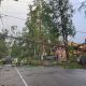 A tree blocks a road with damaged powerlines.