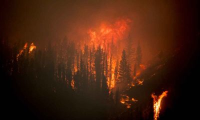 Wildfire in the mountains at night