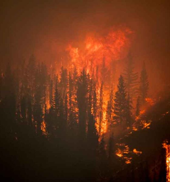 Wildfire in the mountains at night