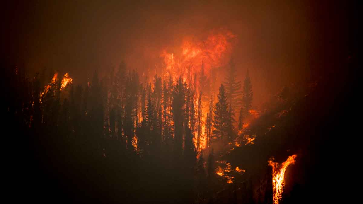 Wildfire in the mountains at night